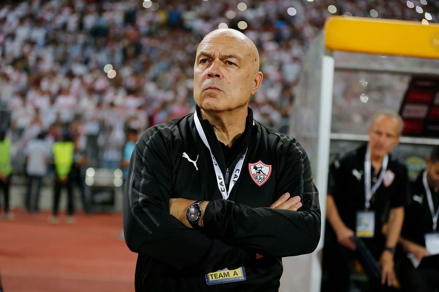 كورة العرب : رسميا الزمالك يعلن التعاقد مع السويسري كريستيان جروس